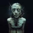album-cover
