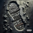 album-cover