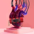 album-cover