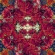 album-cover